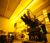 photolithography